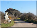 Quartz Standing Stone by the road to St Mawgan in PL27 7WH