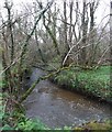 River Menalhyl in TR8 4HE