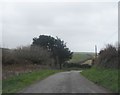 Lane near Trevedras in TR8 4HE