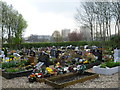 The Muslim area of Wood Green Cemetery in N22 5QL