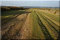 Bridleway crossing High Down in EX20 4BA
