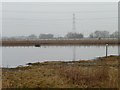 Bottom Tank, RSPB Saltholme [1] in Billingham South Ward