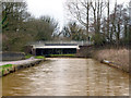 Trent and Mersey Canal: Bridge No 138A in ST7 3DU