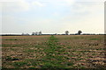 Footpath to Wigland Farm in Wigland
