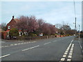 Whitburn Road, Cleadon in NE36 0LT