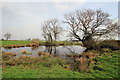 Pond by the Bishop Bennet Way in Wigland