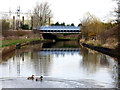 Trent and Mersey Canal:  Rookery Railway Bridge in CW11 3PJ