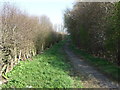 Bridleway near Talbot House School in NE15 9AW