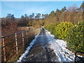 Path at Mugdock Reservoir in G62 8EJ