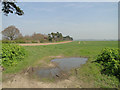 Farmland off wade's Lane in IP9 1EL