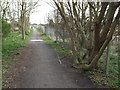 Bridleway near East Boldon in NE36 0SU