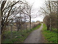 Public bridleway near East Boldon in NE36 0SU