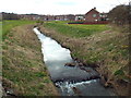 River Don, Boldon in NE36 0JG
