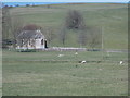 Wynford Eagle: the church across a field in DT2 0ET