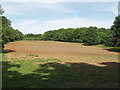 Ploughed area in Blenheim Great Park in OX29 8NF
