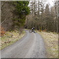 Cyclist waiting on a forest road, Kielder Forest in NE48 1AR