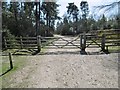 King's Copse Inclosure, gates in SO45 1XG