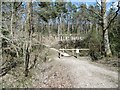 King's Copse Inclosure, footbridge in SO45 1XG