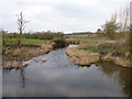 Bow Brook West of Walcot Ford in WR10 2DU