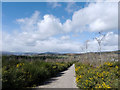 Forestry road through a cleared compartment of Blackmuir Wood in IV14 9BJ