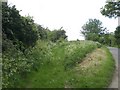 Waterden Lane, Little Walsingham in Walsingham
