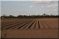 Converging lines in a potato field, Norton Disney Road, Carlton-le-Moorland in Carlton-le-Moorland