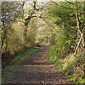 Bridleway to Ramsden Back Common, Ramsden Heath in CM11 1LZ