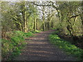 Bridleway to Ramsden Heath in CM11 1JL