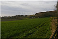 View north-west off Gover Hill in TN11 9SR