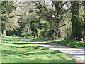 Heath Road, leading to Troston Heath Cottages in Troston