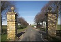 Gate piers, Goldsborough in HG5 0SS