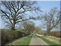 Minor road towards Shilvington in Whalton