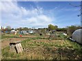 Nursery Lane Allotments in UB10 0AF