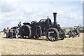Steam Traction Engine in TQ7 4BP