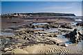 Stumps, pools and a broad view south, Borth sunken forest in SY24 5HU