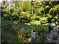 'The Jungle' - Lost Gardens of Heligan in PL26 6EH