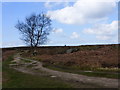 Track by Wellington's Monument, Baslow Edge in DE45 1PR