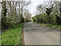 Main Road, between Clenchwarton and West Lynn in PE34 3NB