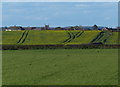 Farmland on the edge of Syston in LE7 2PZ