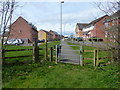 Houses on Pipistrelle Way, Oadby in LE2 4UX