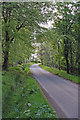 Wooded Lane in AB54 7NG