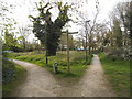 Path on Barnes Common by Vine Road in SW15 5RN
