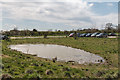 Pond near Car Park at Heartwood Forest, Sandridge, Hertfordshire in AL3 6RA