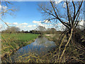 River Thame at Old Mill in HP18 0AL
