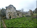 Ruins of 12th century St Mary's Priory, Ankerwycke in TW20 0LB