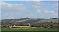 View over farmland to Ham Hill, Wiltshire in SN8 3QF