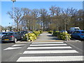 Zebra Crossings at Beaconsfield Services in HP9 2SB