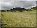 Farmland near Dufftown in AB55 4BR