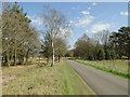 Road beside Knettishall Heath, National Park in Knettishall