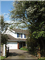 Flowering tree in Church Road, South Lopham in IP22 2LH